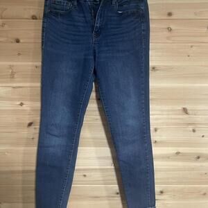 Dark Wash High Rise Skinny